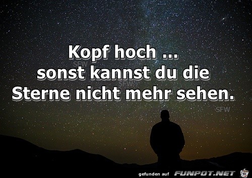 Kopf hoch Kopf hoch
