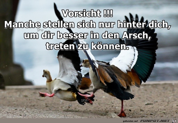 VORSICHT VORSICHT