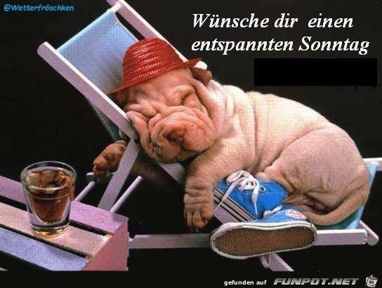 Wuensche dir Wuensche dir