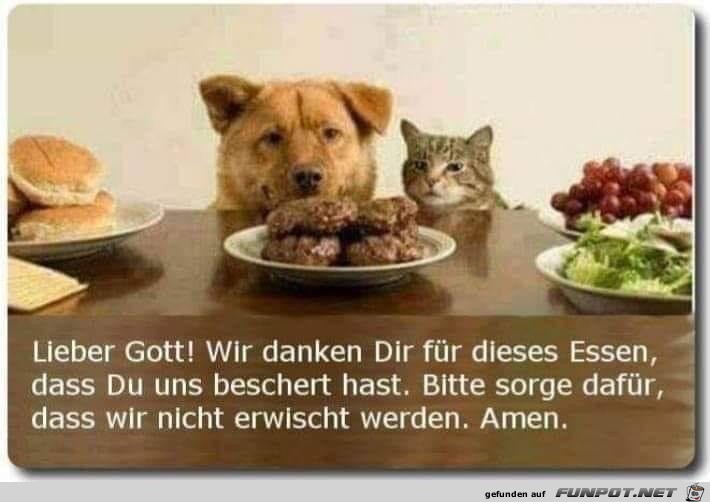 lieber Gott lieber Gott