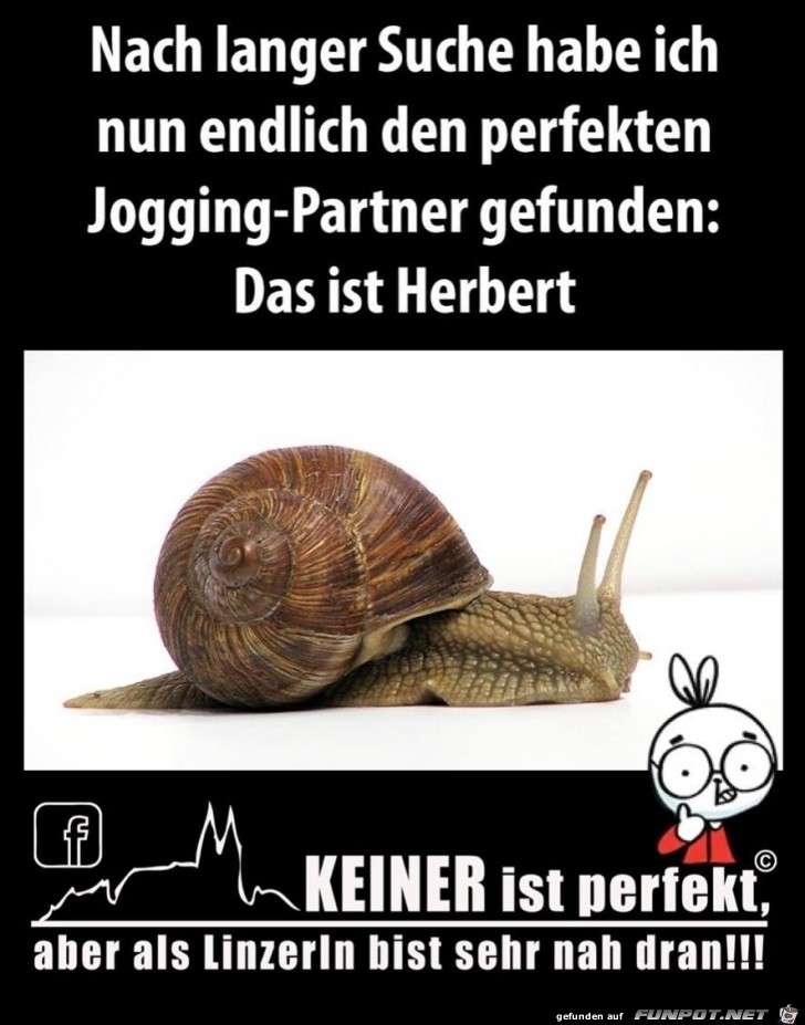 nach langer Suche nach langer Suche