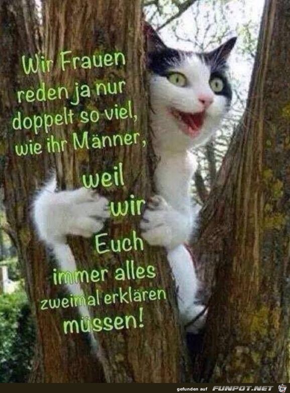 wir Frauen reden ja wir Frauen reden ja