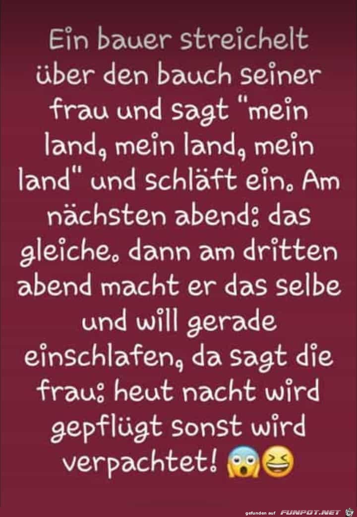 Ein bauer streichelt Ein bauer streichelt