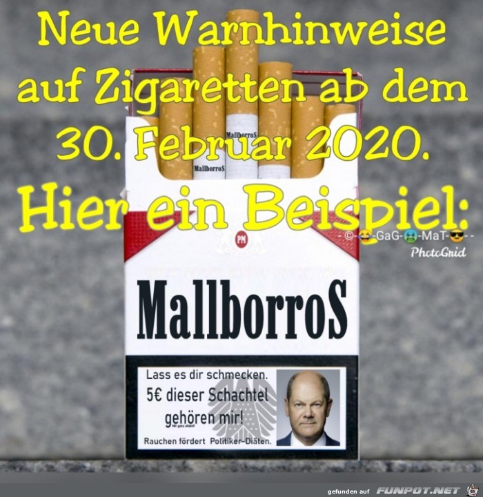 MallborroS MallborroS