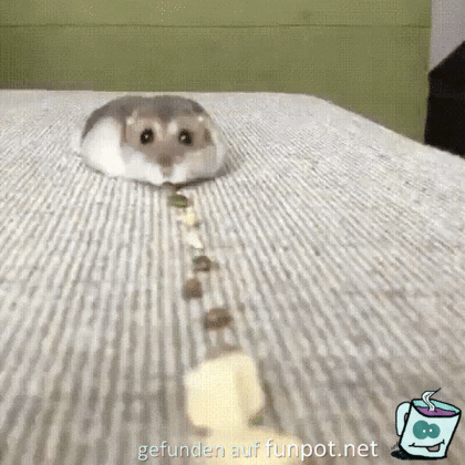 Tierischer Sauger Tierischer Sauger