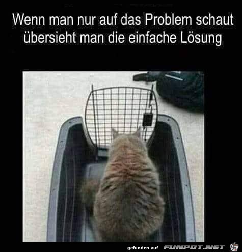 Die einfache Lösung Die einfache Lösung