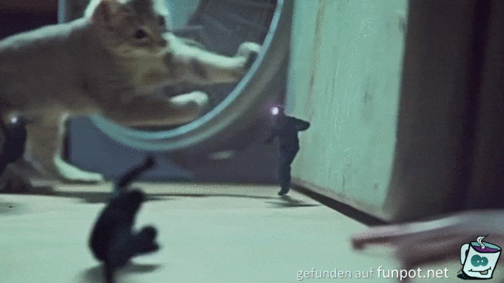 cat-attack-1 cat-attack-1