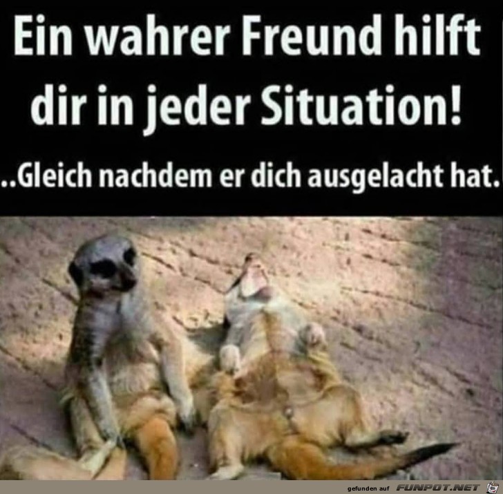 Ein wahrer Freund Ein wahrer Freund