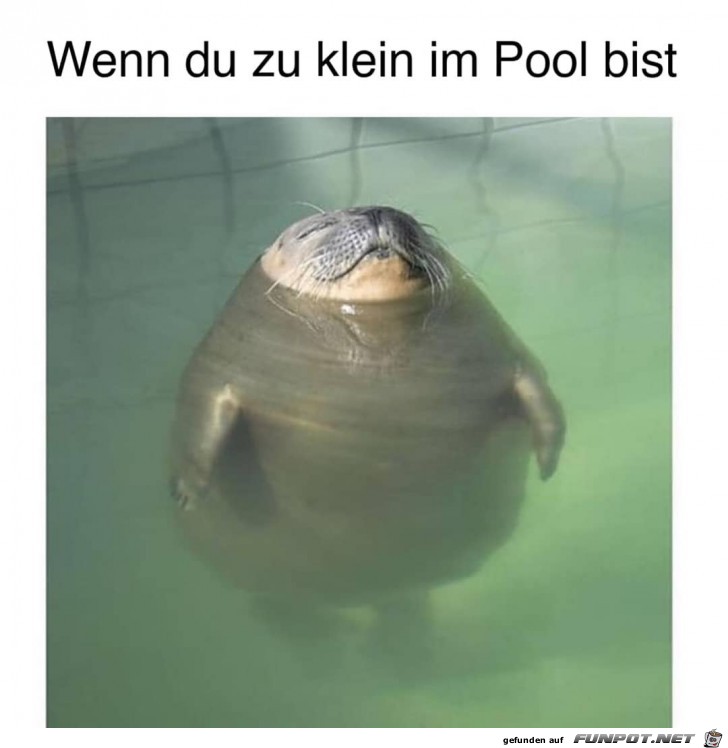 Zu klein Zu klein