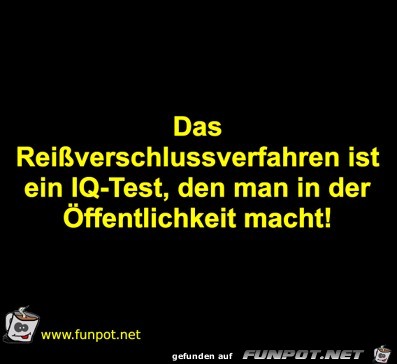 IQ-Test