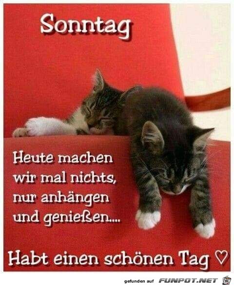 Sonntag Sonntag