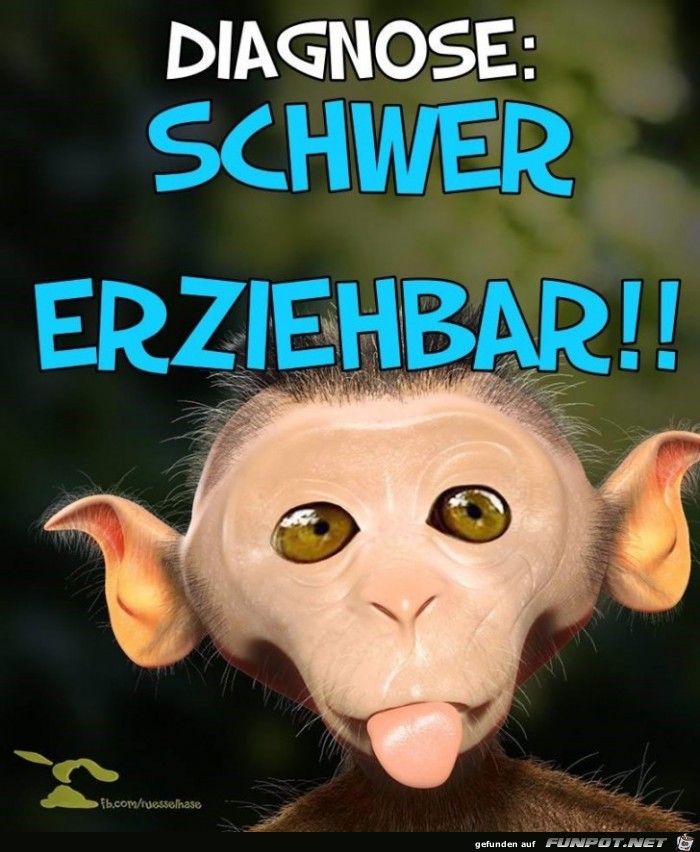 Schwer erziehrbar