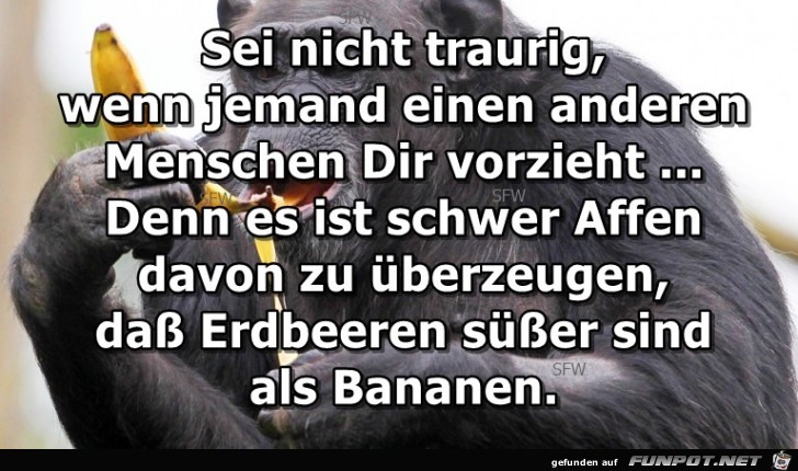 Oh Schatz Du hustest