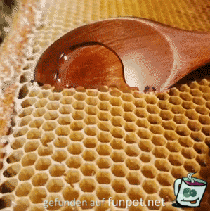 Leckerer Honig