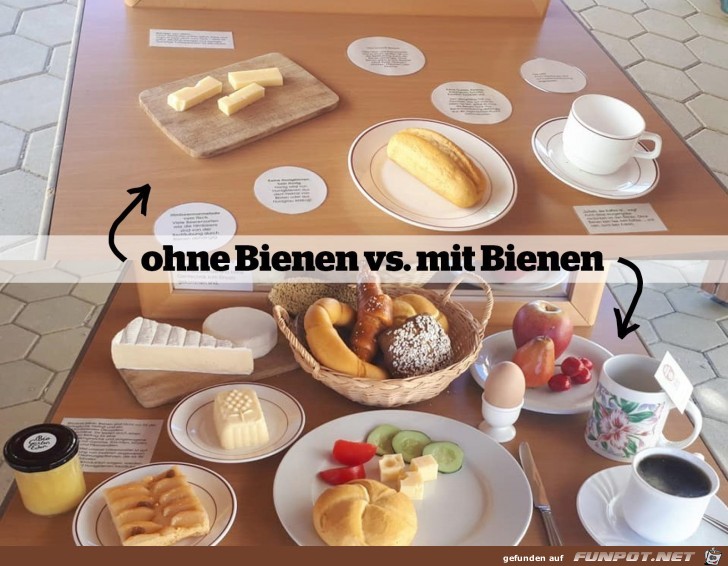 Bienen Bienen