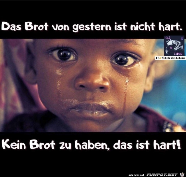 das brot das brot