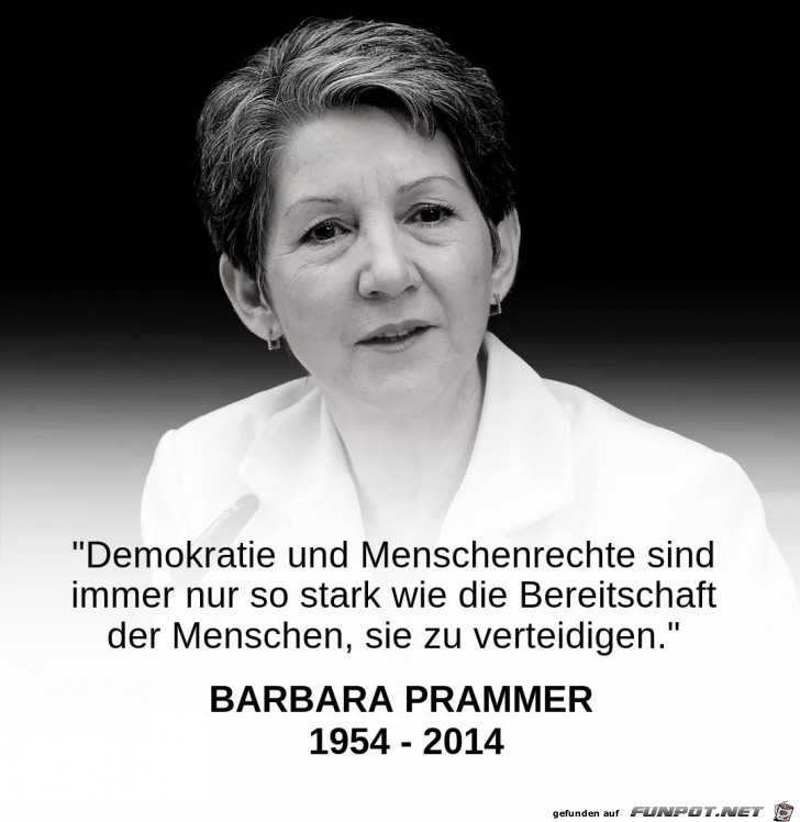 Demokratie und Menschenrechte 