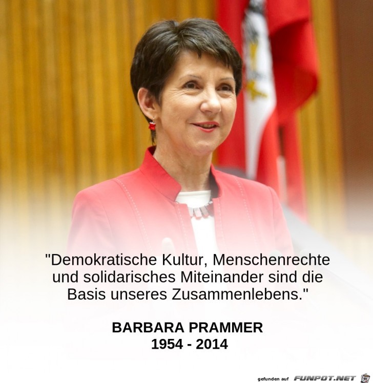 demokratische kultur