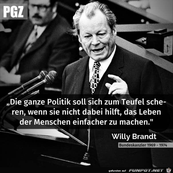 die ganze Politik die ganze Politik