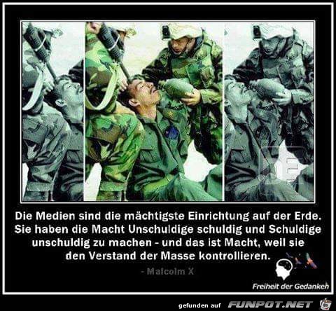 die Medien die Medien