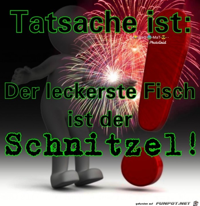 Der Schnitzel Der Schnitzel
