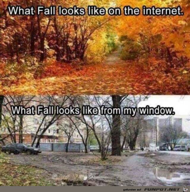 Der Herbst Der Herbst
