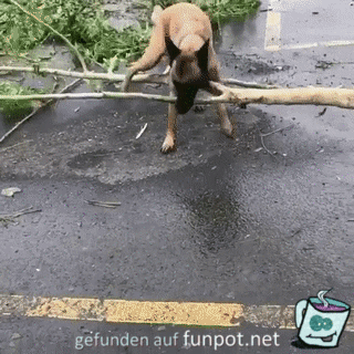 er räumt auf er räumt auf