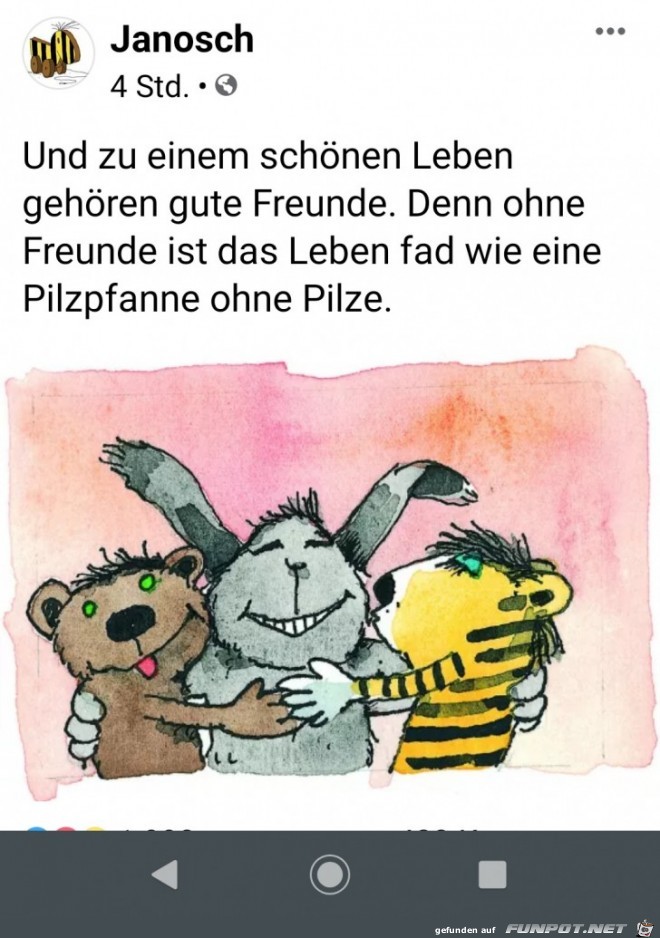 Freunde Freunde