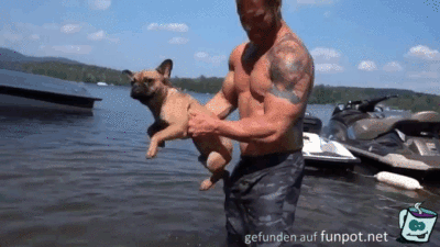 Schwimmen Schwimmen