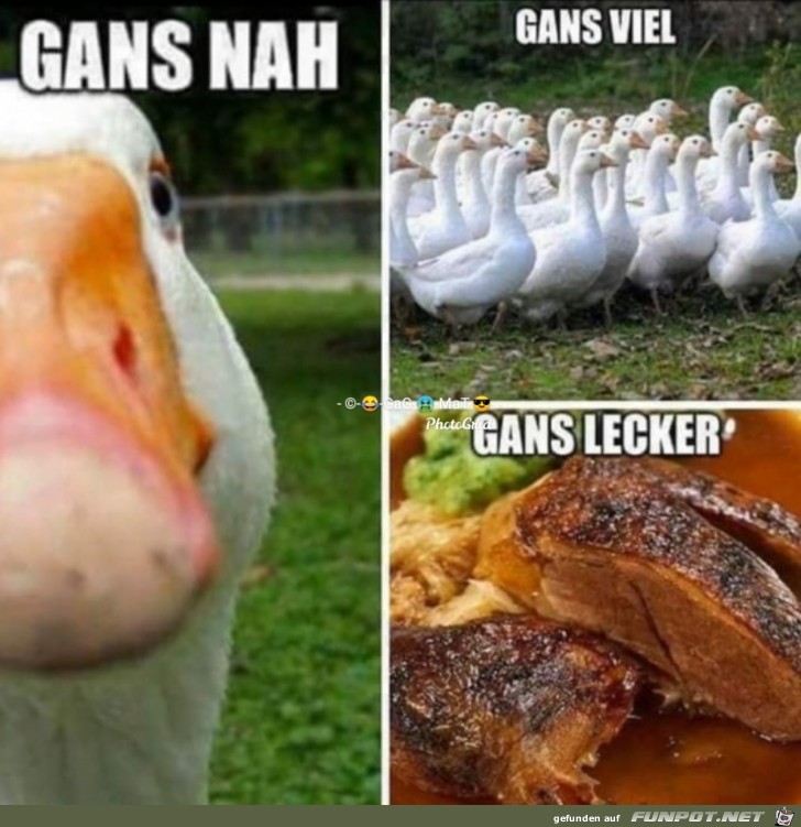 Gans Nah Gans Nah