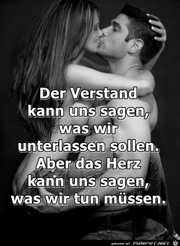 Der Verstand