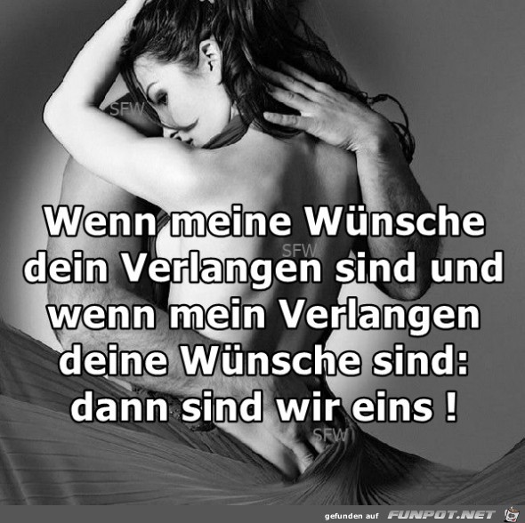Wenn meine Wuensche Wenn meine Wuensche