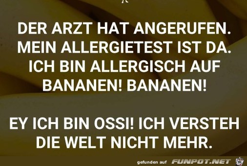 Allergietest