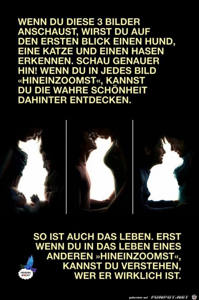 Genauer hinsehen Genauer hinsehen