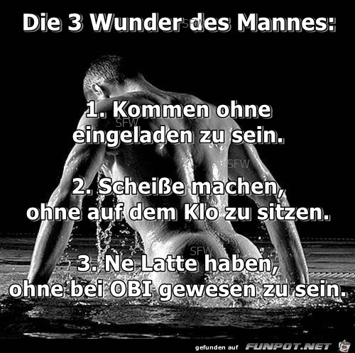 Die 3 Wunder des Mannes Die 3 Wunder des Mannes
