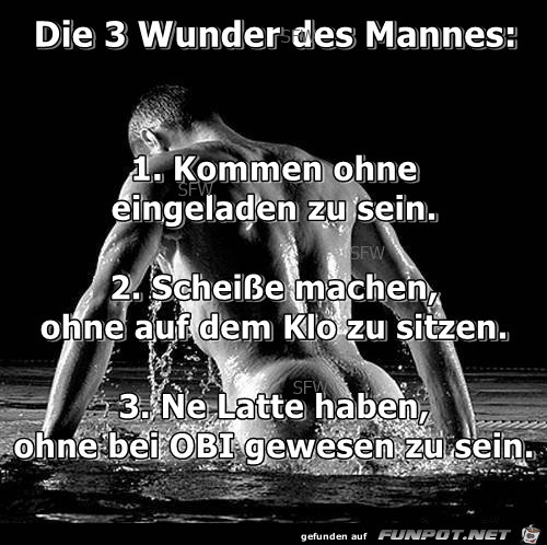 Die 3 Wunder des Mannes