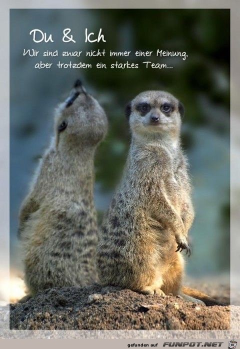 Du und ich Du und ich