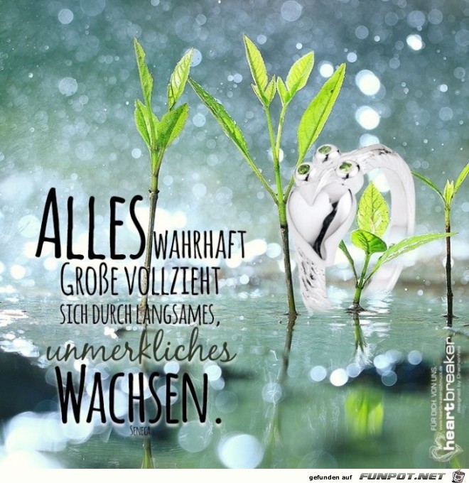 alles wahrhaft grosse alles wahrhaft grosse