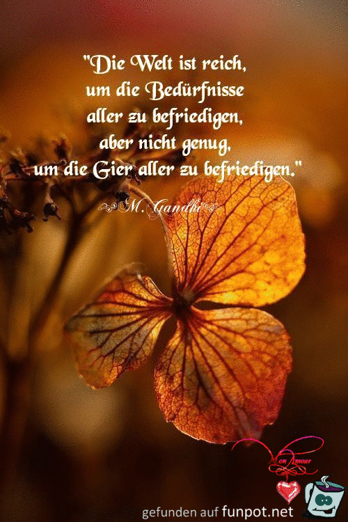 die welt ist reich die welt ist reich