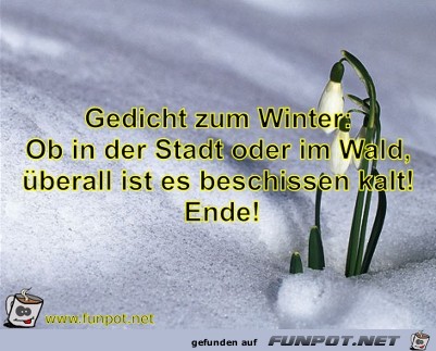 Gedicht zum Winter:Ob in der Stadt oder im Wald,überall Gedicht zum Winter:Ob in der Stadt oder im Wald,überall