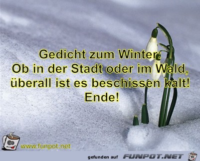 Gedicht zum Winter:Ob in der Stadt oder im Wald,berall