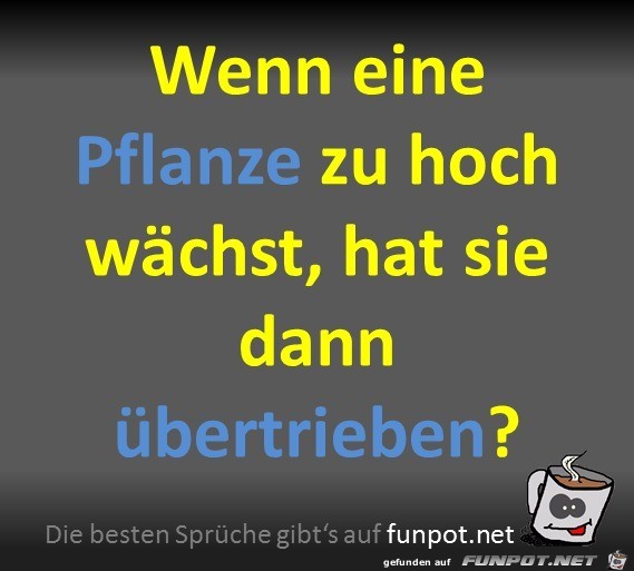 Pflanze Pflanze