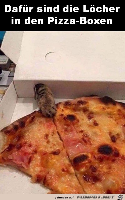 Löcher in Pizzaboxen Löcher in Pizzaboxen