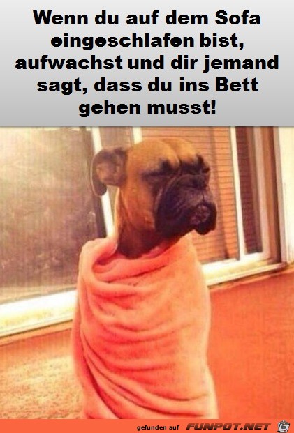 Das ist gemein Das ist gemein