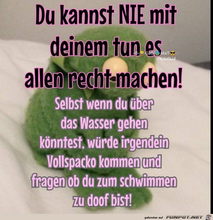 Es gibt immer einen Vollspacko Es gibt immer einen Vollspacko