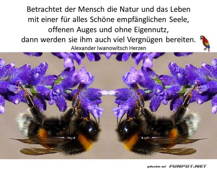 Mensch und Natur Mensch und Natur