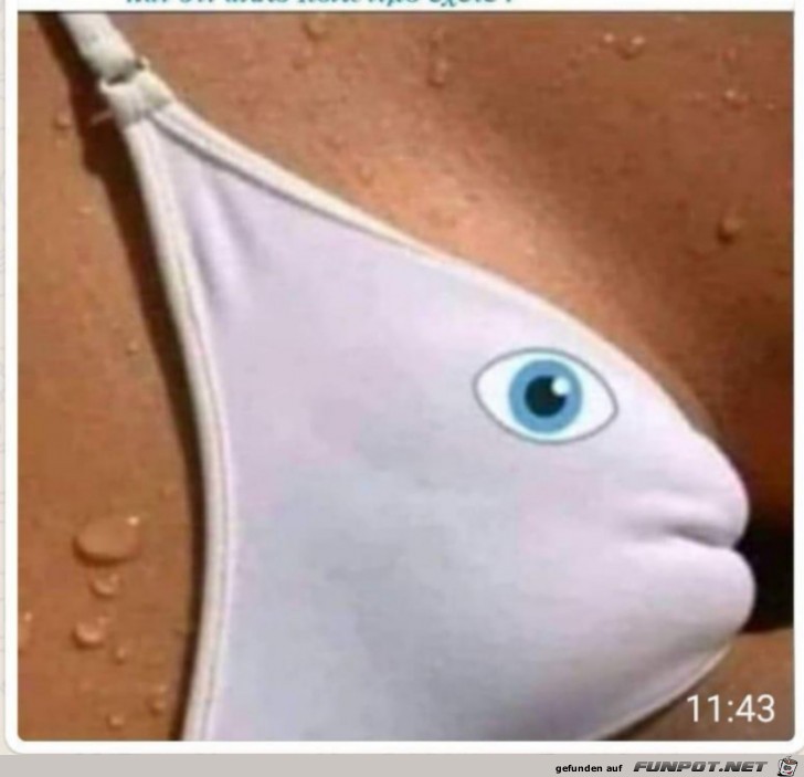 gefaehrlicher Fisch gefaehrlicher Fisch