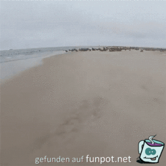 Gerettet Gerettet
