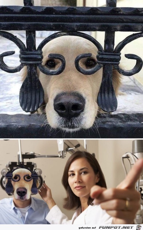 Aha Aha