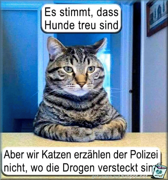 Hunde sind treu Hunde sind treu